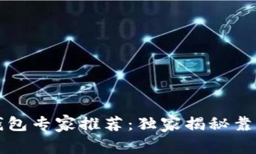 国内比特币钱包专家推荐:独家揭秘靠谱选择的秘诀