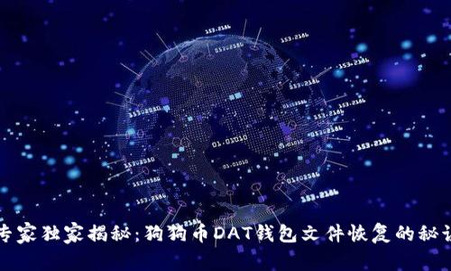 专家独家揭秘:狗狗币DAT钱包文件恢复的秘诀