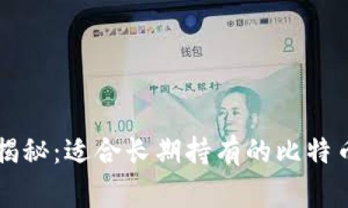 专家独家揭秘:适合长期持有的比特币钱包秘诀