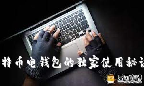 专家揭秘:比特币电钱包的独家使用秘诀及安全策略