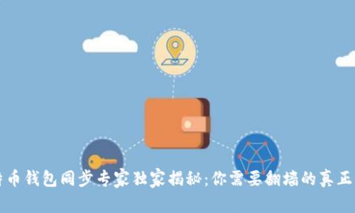 比特币钱包同步专家独家揭秘:你需要翻墙的真正原因