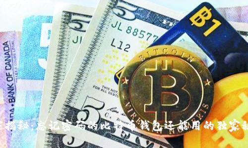 专家揭秘：忘记密码的比特币钱包还能用的独家秘诀！