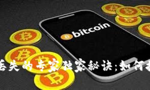 比特币账户钱包丢失的专家独家秘诀：如何挽回你的数字资产