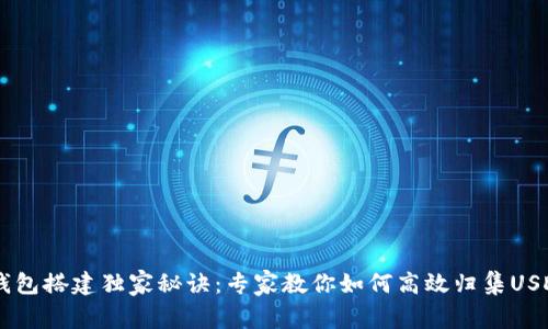 USDT钱包搭建独家秘诀:专家教你如何高效归集USDT资金