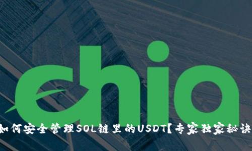 TP钱包如何安全管理SOL链里的USDT?专家独家秘诀大揭秘!