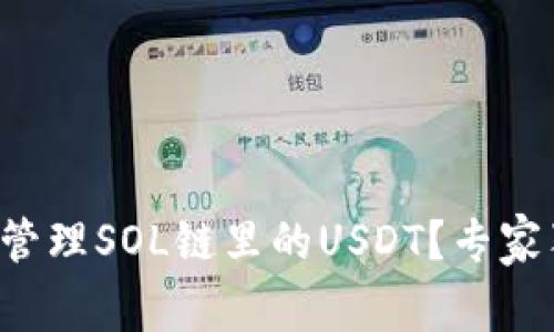TP钱包如何安全管理SOL链里的USDT?专家独家秘诀大揭秘!