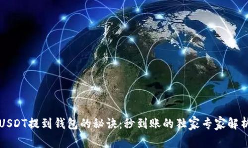 USDT提到钱包的秘诀:秒到账的独家专家解析