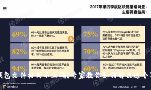 比特币钱包文件格式不正确?专家教你如何解决这个独家秘诀