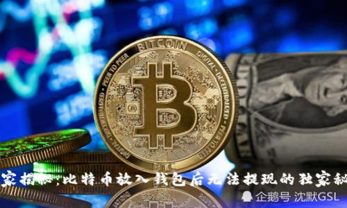 专家揭秘:比特币放入钱包后无法提现的独家秘诀