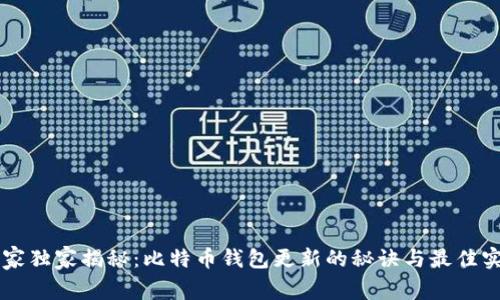 专家独家揭秘：比特币钱包更新的秘诀与最佳实践