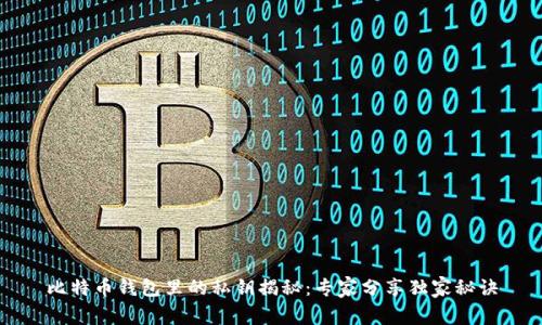 比特币钱包里的私钥揭秘：专家分享独家秘诀