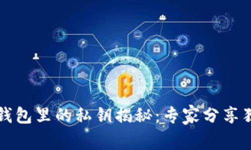 比特币钱包里的私钥揭秘：专家分享独家秘诀