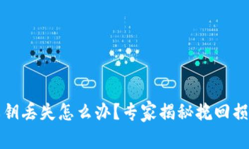 比特币钱包私钥丢失怎么办？专家揭秘挽回损失的独家秘诀