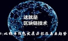 专家揭秘：比特币钱包发展历程及未来趋势独家