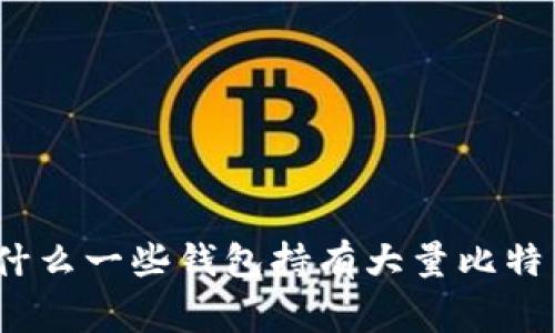 专家揭秘:为什么一些钱包持有大量比特币的独家秘诀