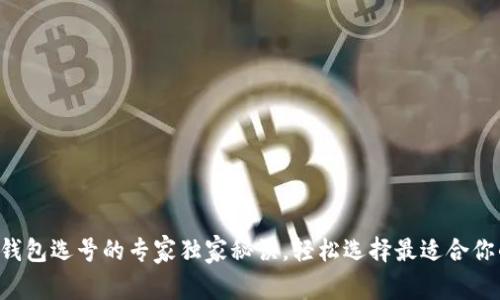 区块链钱包选号的专家独家秘诀，轻松选择最适合你的钱包！