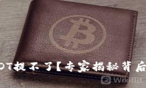 钱包里的USDT提不了?专家揭秘背后的独家秘诀!