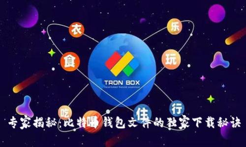 专家揭秘：比特币钱包文件的独家下载秘诀