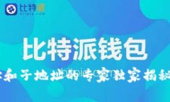 比特币钱包主地址和子地址的专家独家揭秘：你